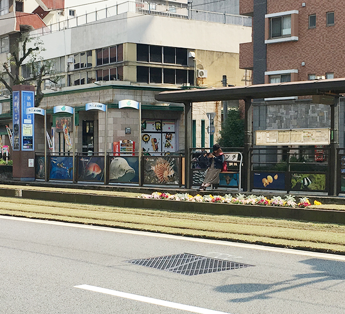 市電唐湊線 水族館口駅