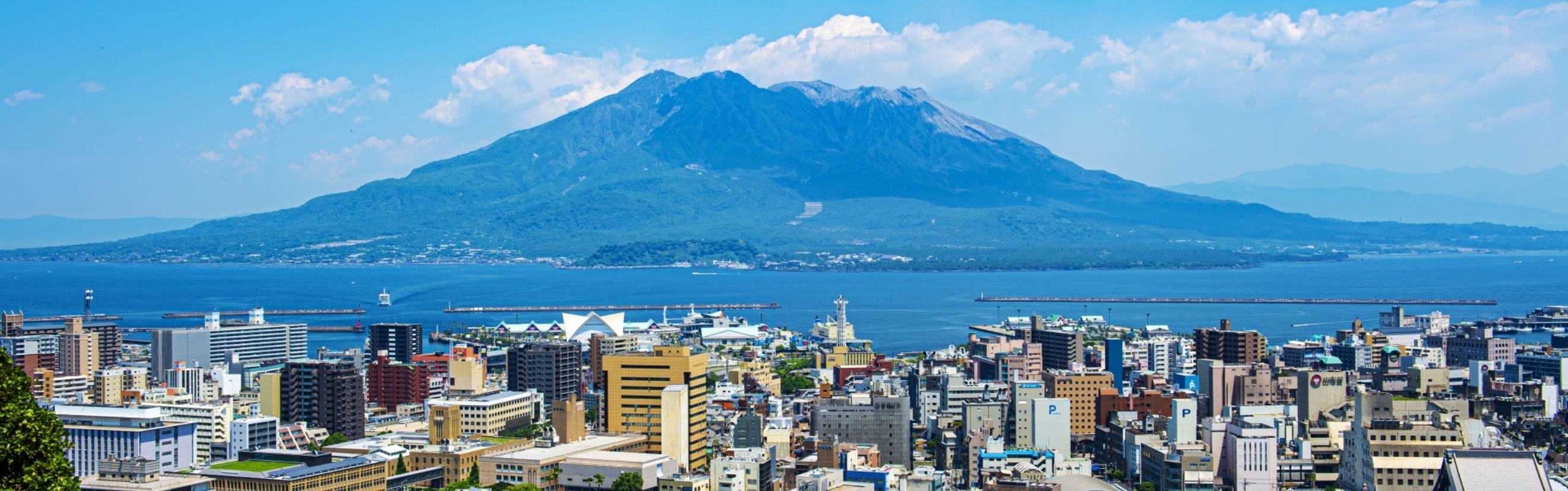 地域未来牽引企業